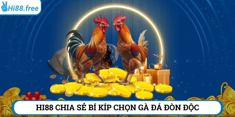 Chia sẻ bí kíp chọn gà đá đòn độc hiệu quả 