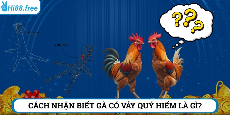 Gợi ý cách nhận biết vảy gà quý hiếm cực chuẩn 