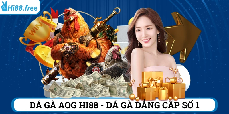đá gà aog hi88