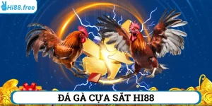 đá gà cựa sắt hi88
