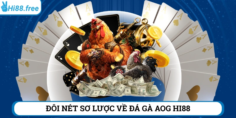 Vài nét về sảnh đá gà  AOG