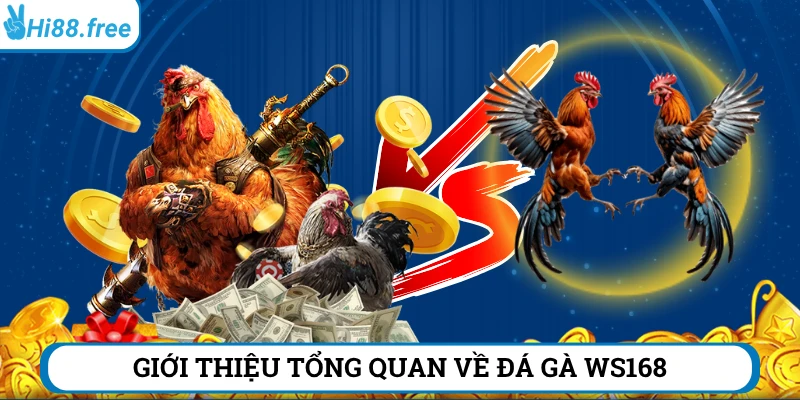 Tổng quan về đá gà WS168