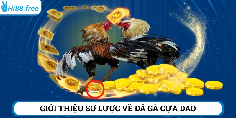 Giới thiệu sơ lược về soi kèo đá gà cựa dao Hi88 