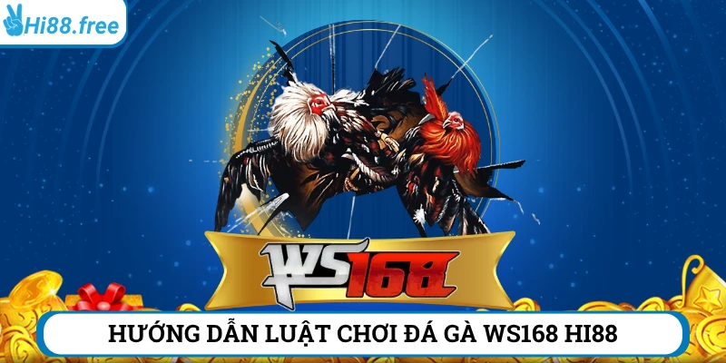 Hướng dẫn chơi đá gà WS168 tại nhà cái Hi88.com