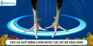 vảy gà quý hiếm