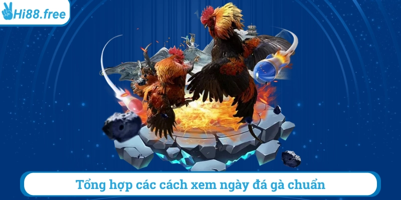 Tổng hợp các cách xem ngày đá gà chuẩn