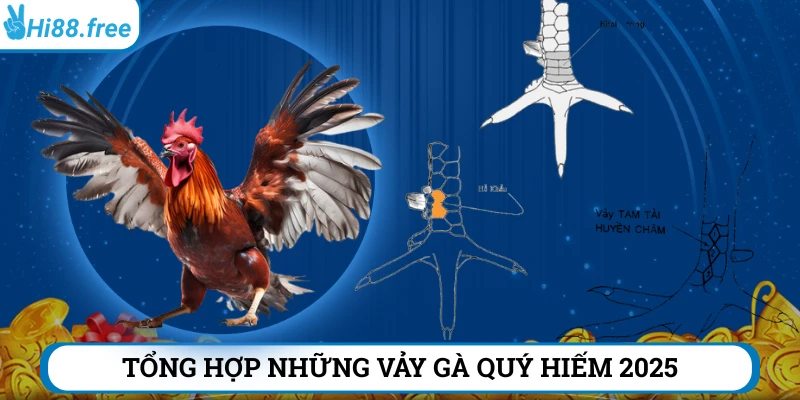 Tổng hợp những vảy gà quý hiếm 2025 nên biết 
